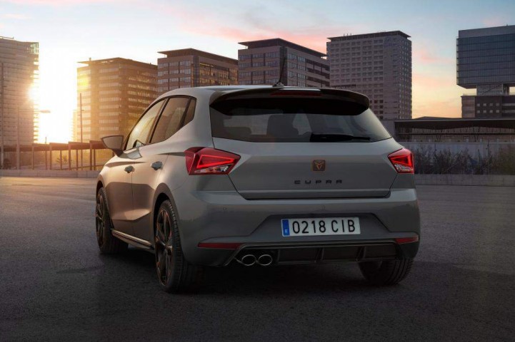 Cupra Ibiza 2018  ... Chip Tuning 2.0 TSI (GPF) 200hp